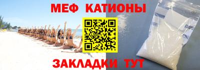 сатива Аргун