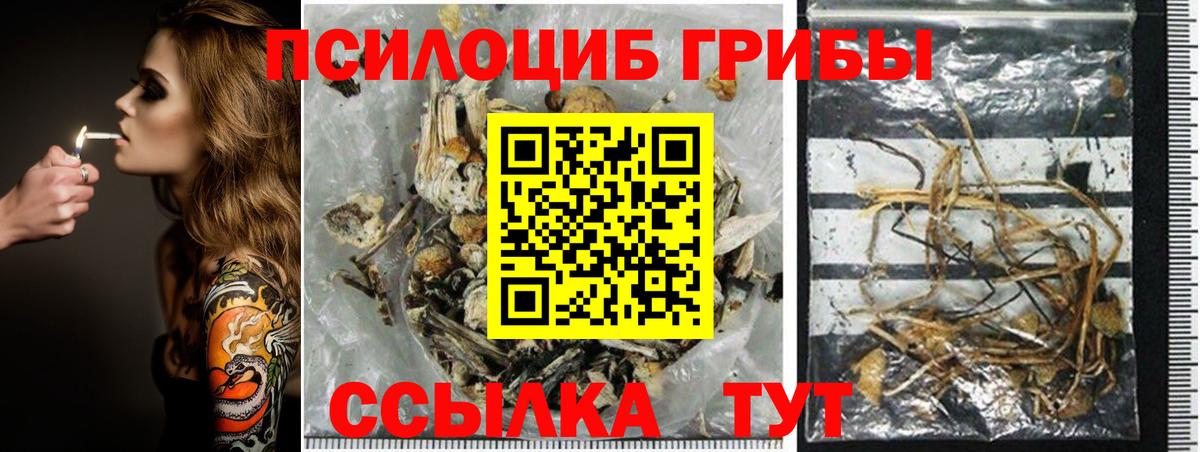 Псилоцибиновые грибы мицелий  Вход с VPN  Владивосток 