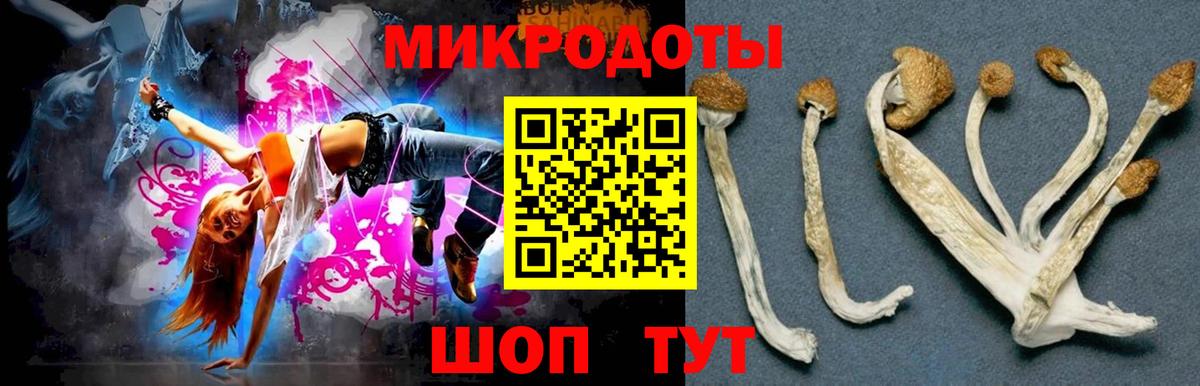 Псилоцибиновые грибы прущие грибы Владивосток